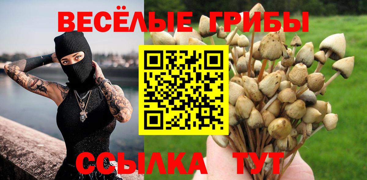 Георгиевск  Галлюциногенные грибы Psilocybe  Вход с VPN 